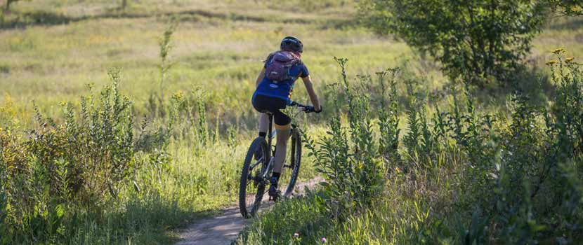 A mountain biker rides on a dirt path through tall grasses.