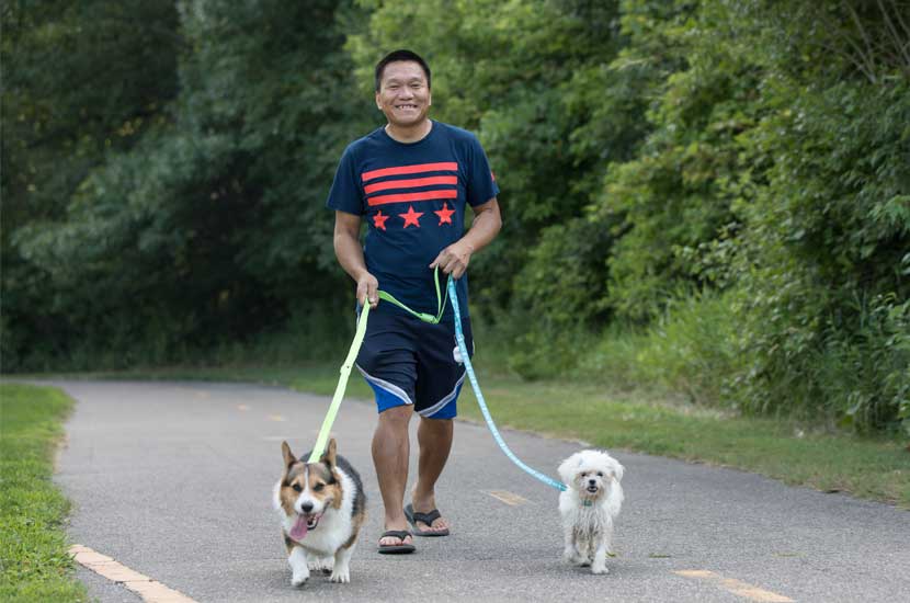 A man walks two dogs in the summer.