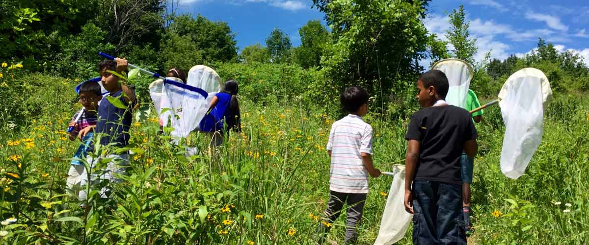 A group of kids walks through a prairie carrying butterfly nets.