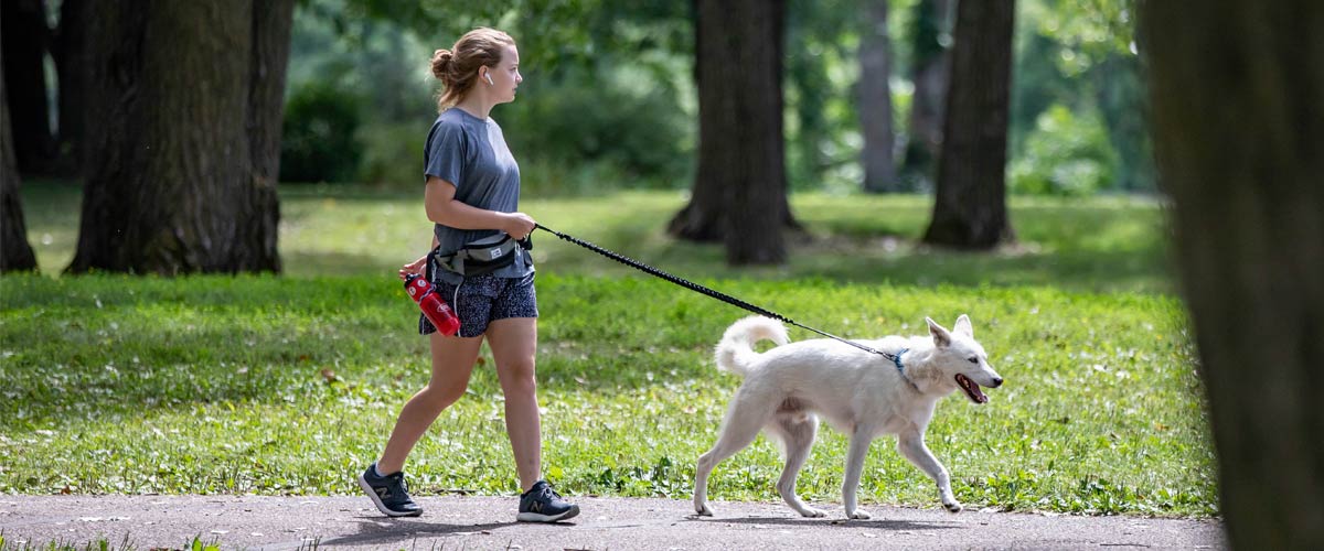 A woman wearing shorts walks a medium-sized white dog on a paved trail through a park.