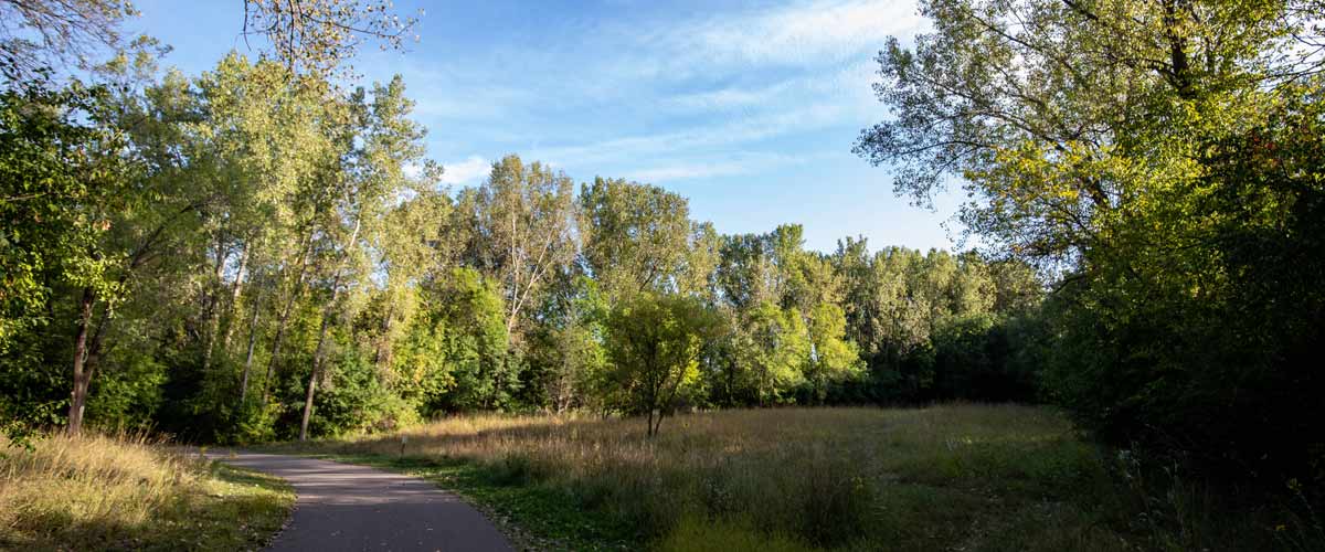 A paved trail goes through a grassy area before cutting through woods.