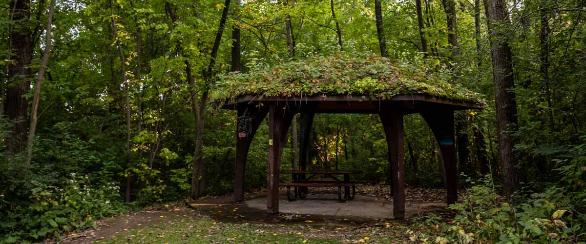 A small picnic shelter sits in a wooded area.