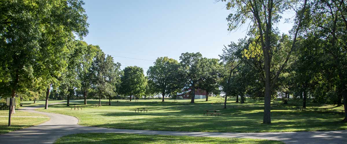 A picnic area is dotted with well-pruned trees. 
