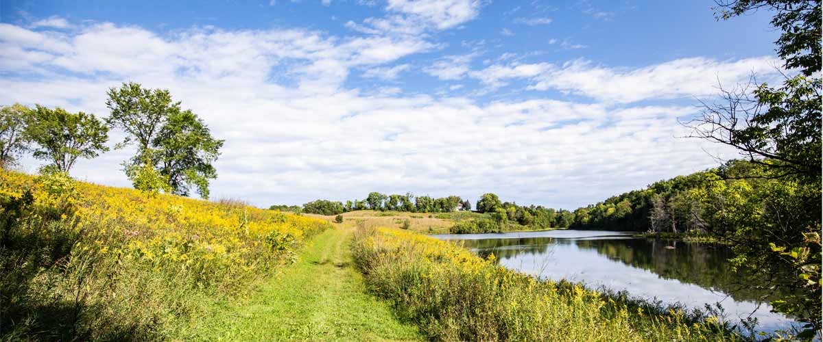 A grassy trail at Kingswood Park cuts through prairie and alongside a small lake on a sunny summer day.