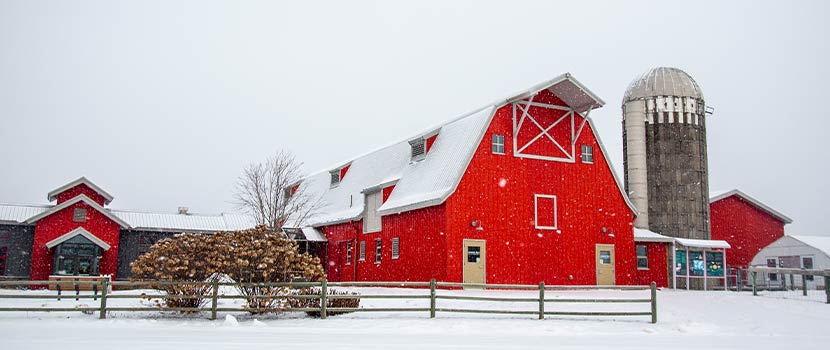 red barn and gray silo at Gale Woods Farm in Minnetrista, Minnesota with a snowy yard and fence in the foreground