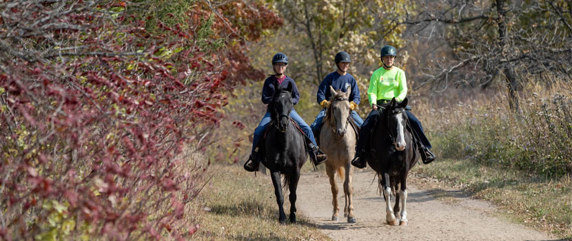 Three people ride horses down a dirt trail in the fall.