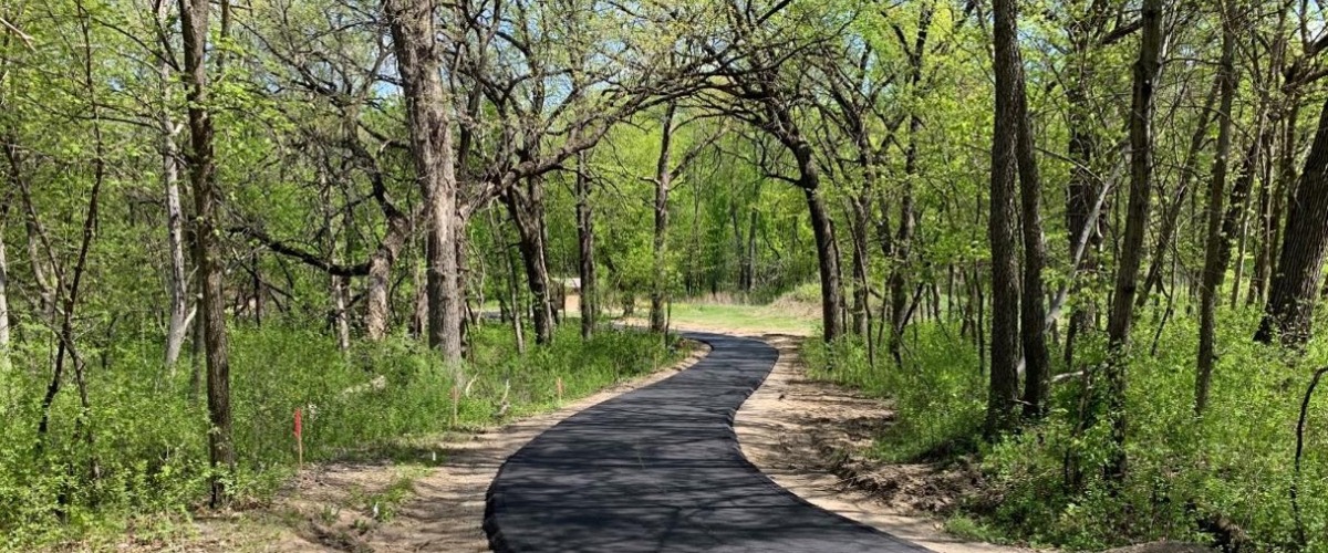 a paved trail through the woods