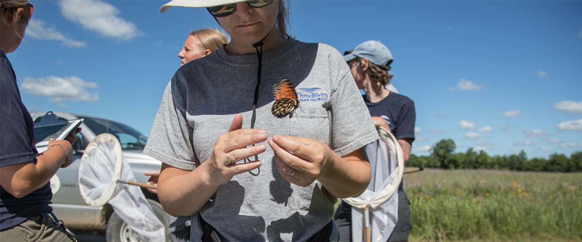 A butterfly flies out of the hands of a biologist doing field work.