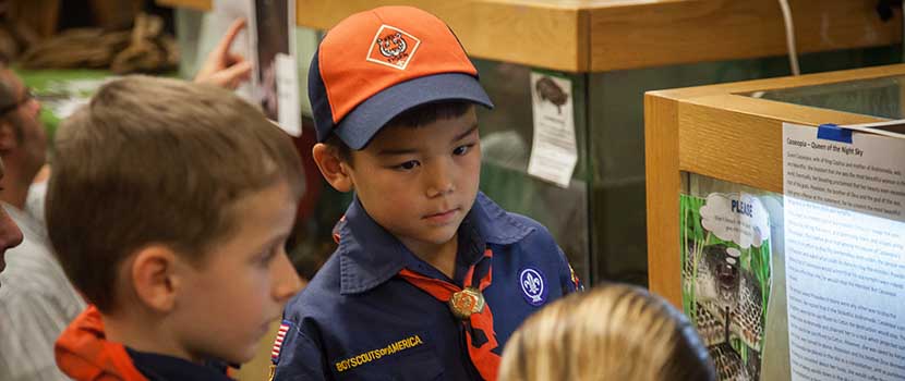 Boy Scouts look at animals in an aquarium.