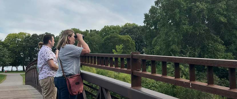 Two birders stand on a bridge; one is looking through binoculars toward the trees.