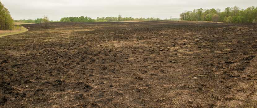 a large open area of land that is dark with dirt after a burn.