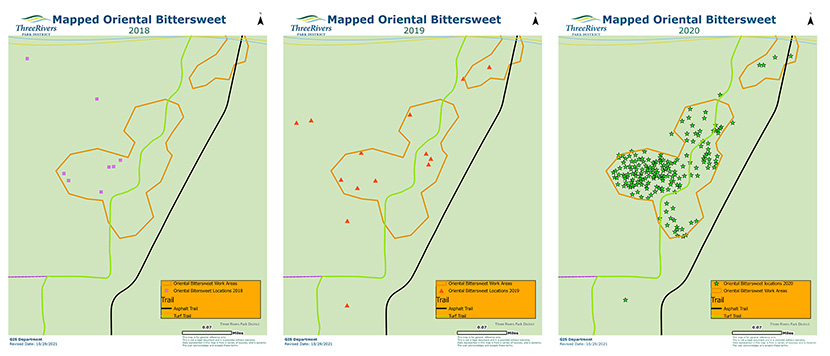 Three maps show the growth of Oriental bittersweet in Elm Creek Park Reserve from 2018 to 2020. 2018 has only six instances of the invasive plant within the work areas; 2019 has nine; 2020 has more than 100.