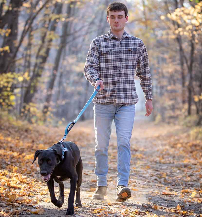 A man wearing a plaid shirt walks a black dog on a leaf-covered trail.