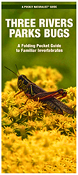 Cover of Three Rivers Parks Bugs guide