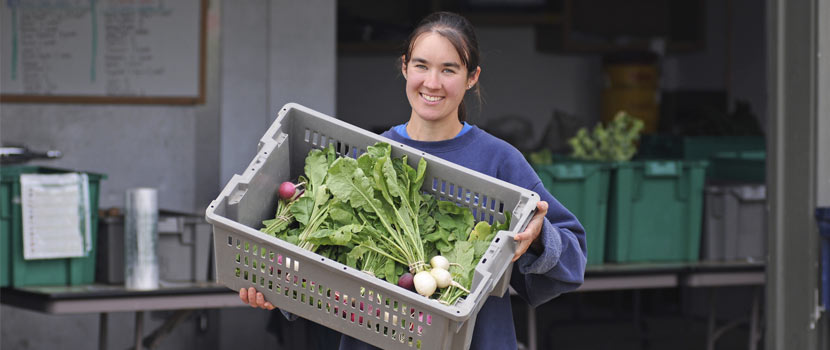 A woman holds a bin of vegetables grown on a farm.