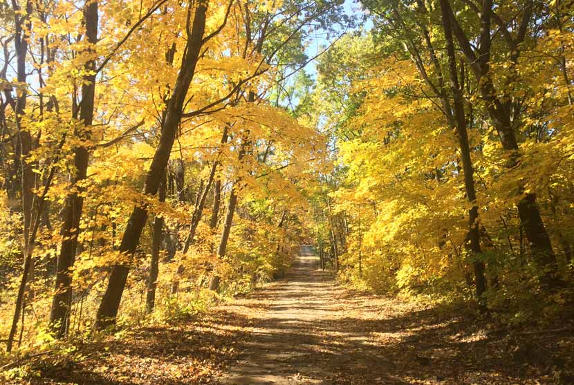 Best Hikes For Fall Colors Three Rivers Park District