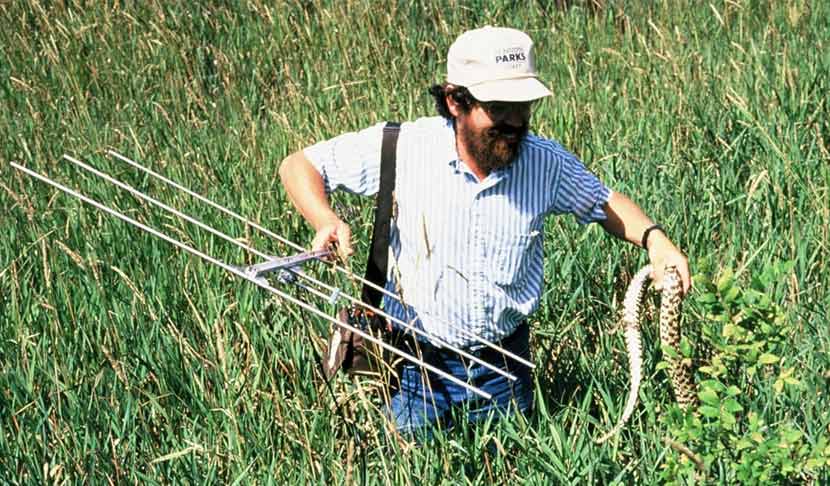 A man standing in tall grass holds a radio transmitter in one hand and a snake in the other.
