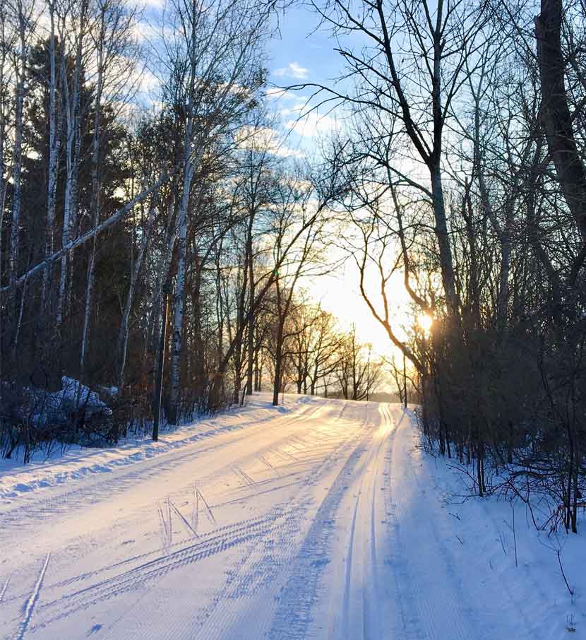 A cross-country ski trail on a sunny day.