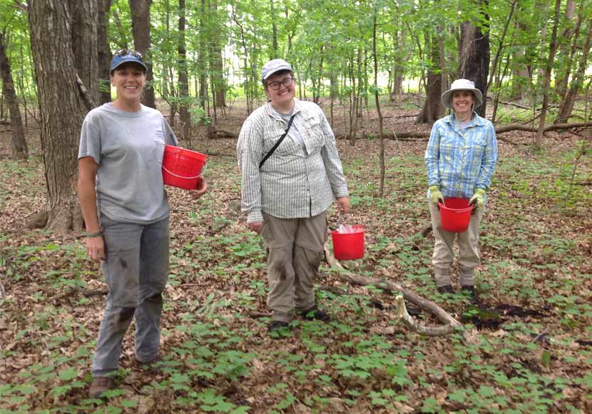 Three people stand in a forest holding red buckets of flower seeds.
