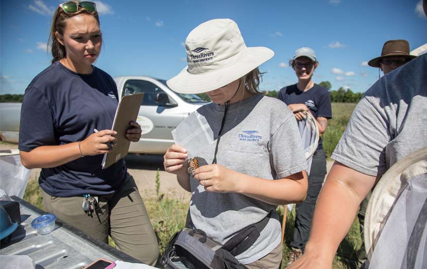 Park district employees stand around a table to record butterfly survey information.