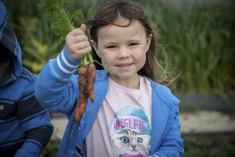 Girl with fresh picked carrots