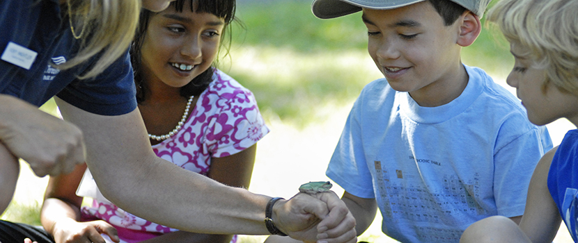 Kids look closely at a frog