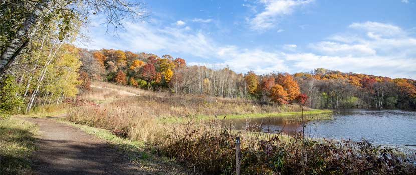 A dirt trail goes past a small lake. The tree line is full of spectacular fall color. 