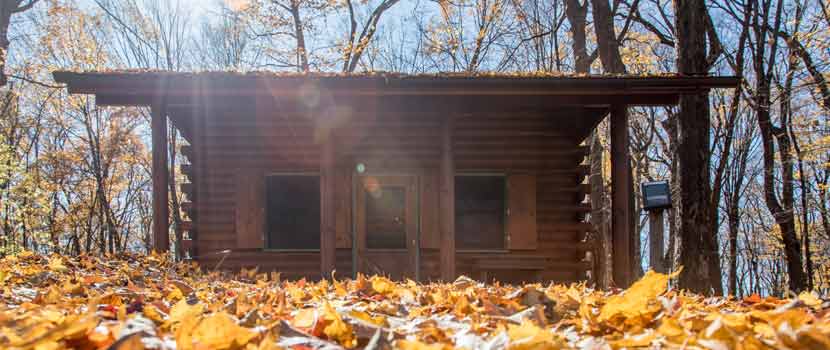 cabin in the woods with fall leaves around it