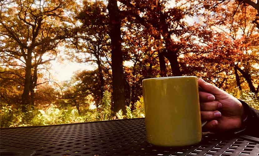 coffee mug outside in the fall at silverwood