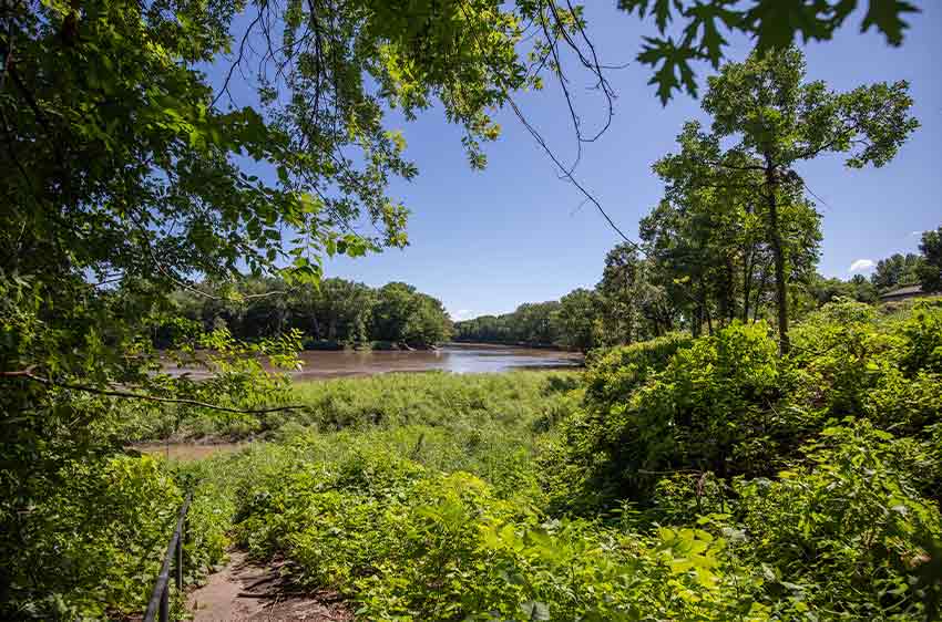 A landscape shot of the Minnesota River. A tree with green leaves frames the river on the left.