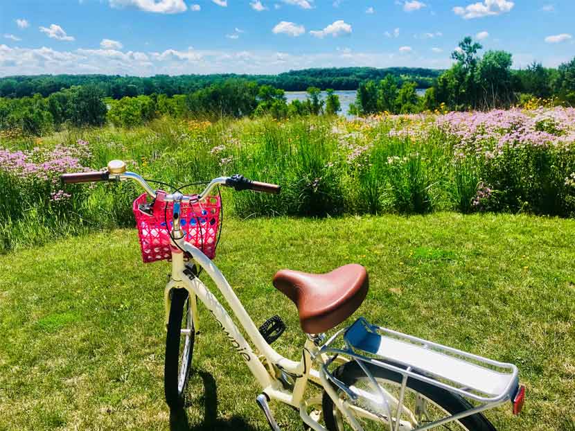 Beth's bike is parked at the top of King's Overlook in Carver Park. Below you can see a lake and colorful flowers on a sunny day.