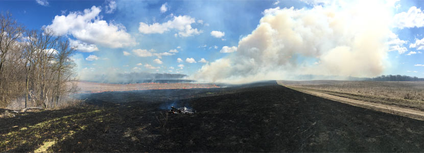 A panoramic image of a prairie burning with huge clouds of smoke floating into the blue sky.
