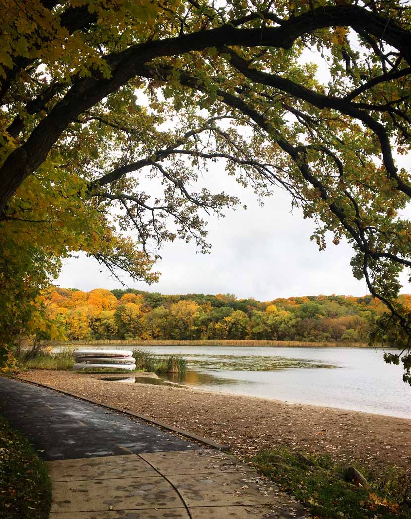 A paved trail cuts along the shore of a lake on a gray fall day. The image is framed by a large oak tree and colorful trees can be seen across the lake.