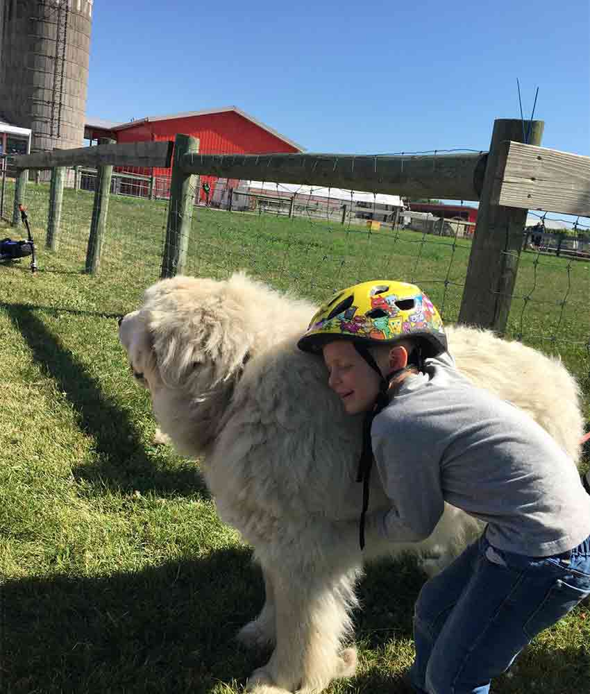 a boy in a bike helmet hugging the white great pyrenees dog Orion at Gale Woods Farm in Minnetrista