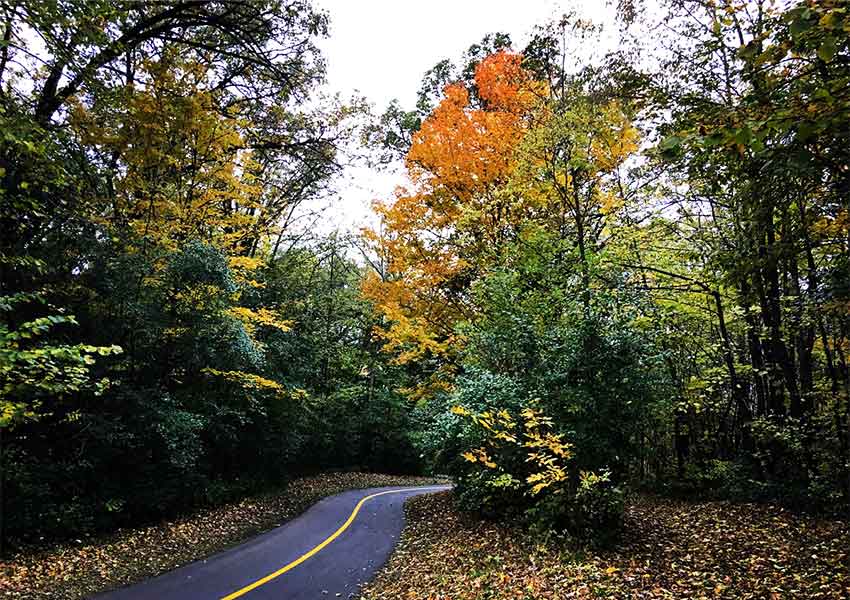 A paved trail cuts through trees that are changing red and yellow in fall.