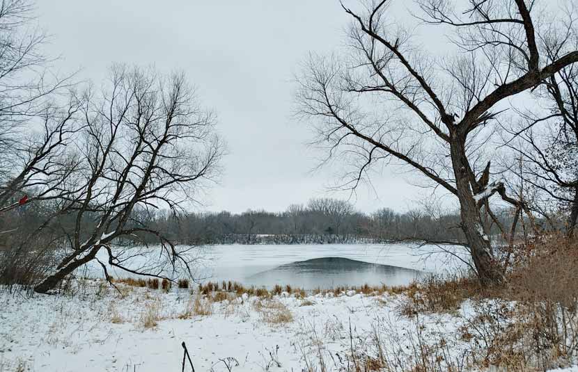 A view of a small lake framed by bare trees in the winter.