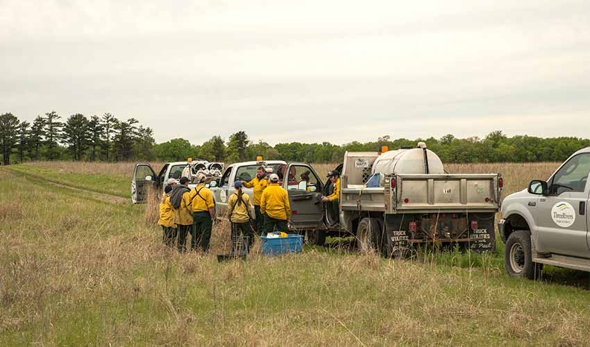 prescribed burn crew of 10 people and trucks in the prairie
