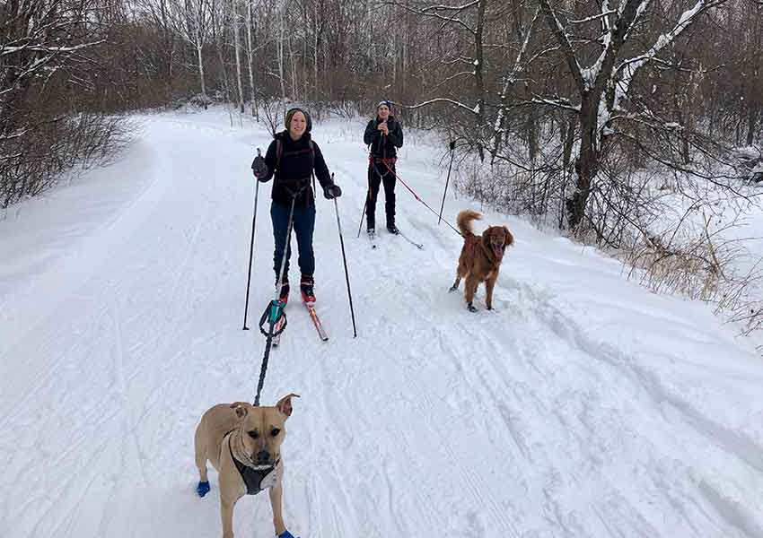 Jessica and Jasper skijoring with friends