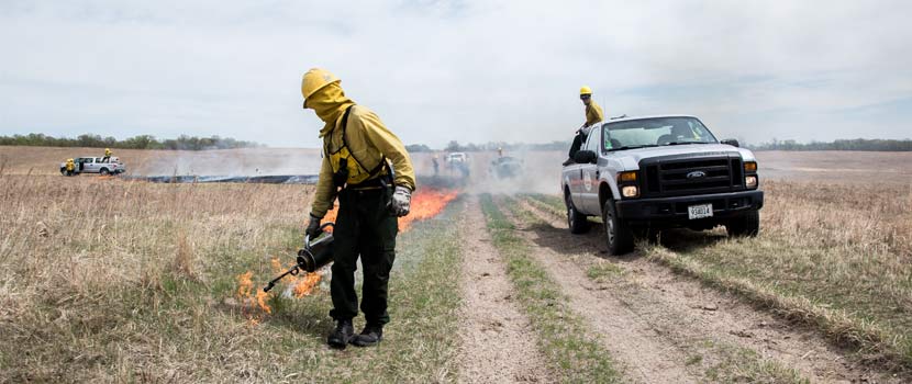 a staff member burns a prairie with a torch while trucks are nearby.